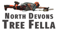 North Devon's Tree Fella logo featuring a flying man with a chainsaw, symbolizing expert tree surgery services